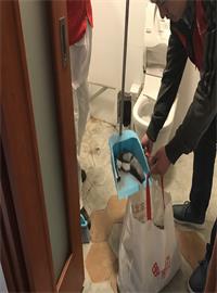 卫生间，厨房堵漏